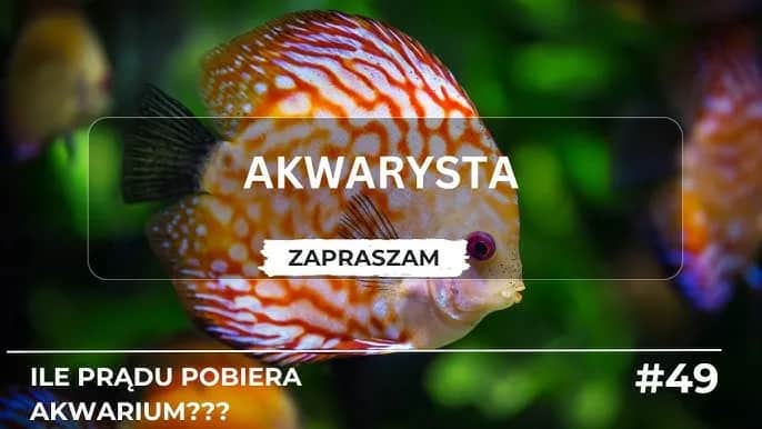 Ile prądu zużywa akwarium 112l? Poznaj ukryte koszty i oszczędności